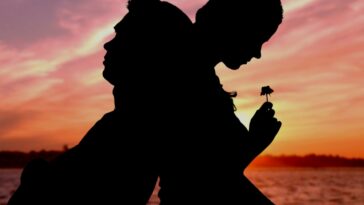 Silhouetted figures of a person leaning against another, holding a small flower, against a sunset sky.