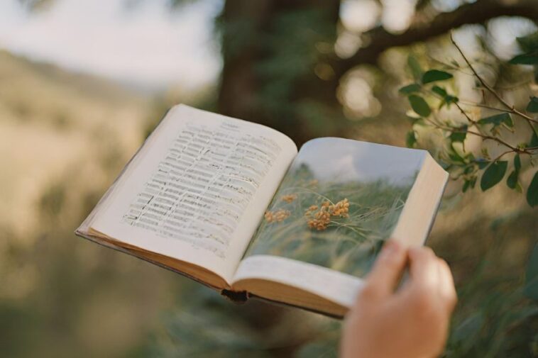 Hymns About the Beauty of Nature