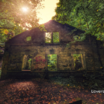 Stone ruins of a building stand amidst green trees and fallen leaves.