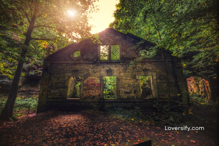 Stone ruins of a building stand amidst green trees and fallen leaves.
